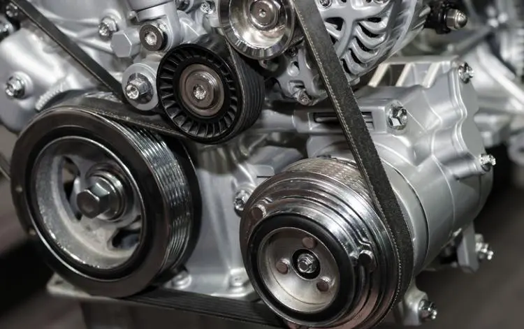 Picture for category Belt